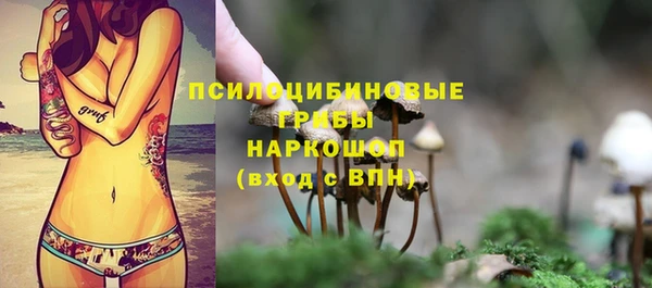 тгк Богородск