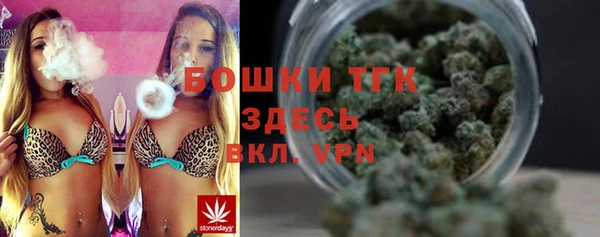 твердый Богданович