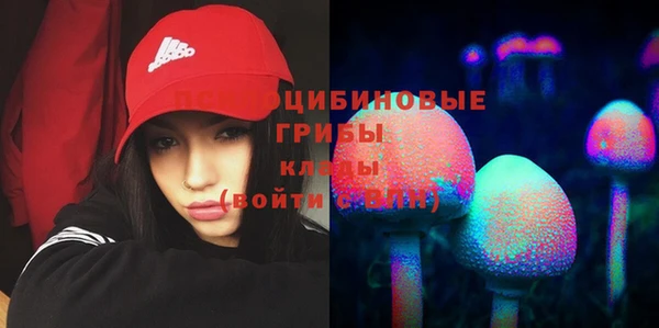 твердый Богданович