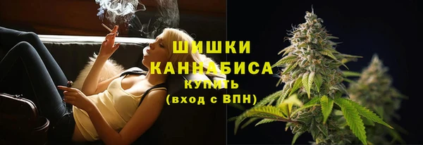 твердый Богданович