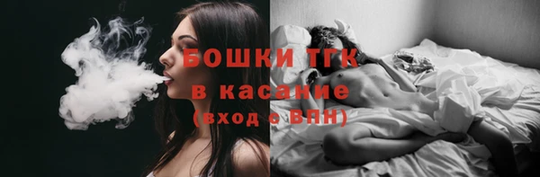 тгк Богородск