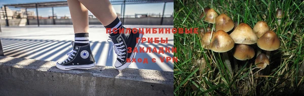 бутират Богородицк