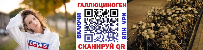 купить наркоту  Тюкалинск  Псилоцибиновые грибы ЛСД 